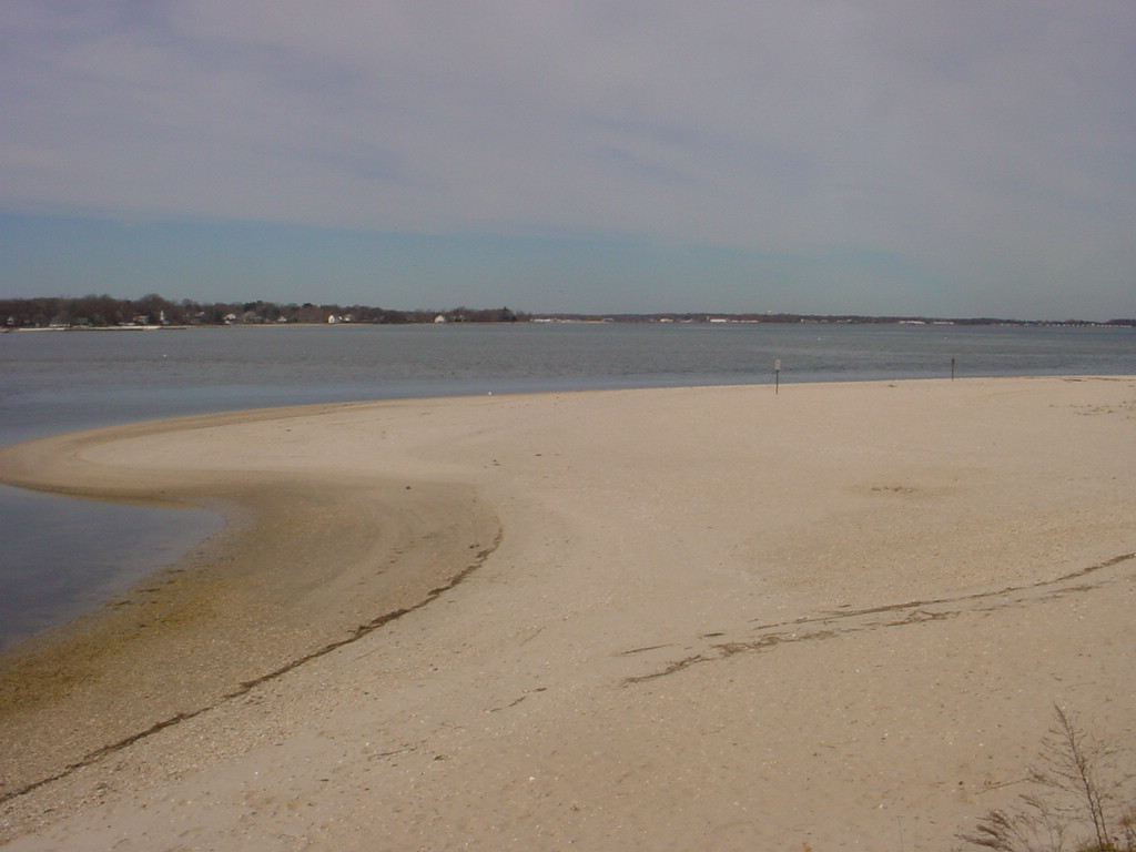 Goose Creek beach1.JPG